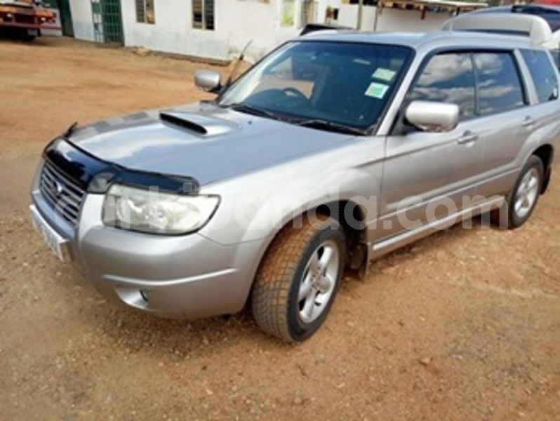 Big with watermark 59640228 115744702960794 3500999285179154432 n