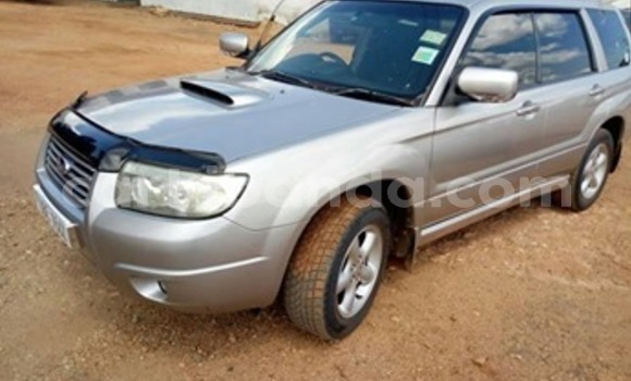 Buy Used Subaru Forester Silver Car in Kampala in Uganda Buy Used Subaru Forester Silver Car in Kampala in Uganda