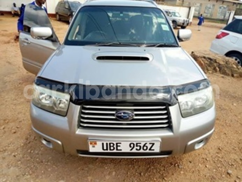 Big with watermark 58729785 115744689627462 2513209201405198336 n