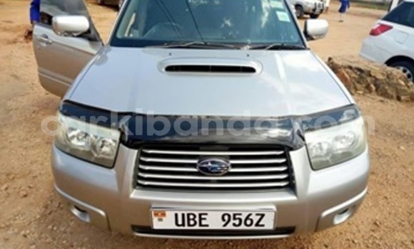 Buy Used Subaru Forester Silver Car in Kampala in Uganda Buy Used Subaru Forester Silver Car in Kampala in Uganda