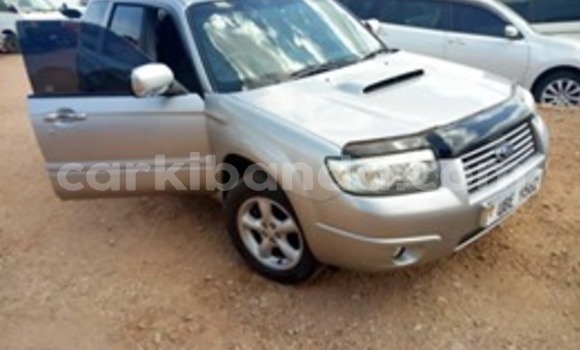 Buy Used Subaru Forester Silver Car in Kampala in Uganda Buy Used Subaru Forester Silver Car in Kampala in Uganda