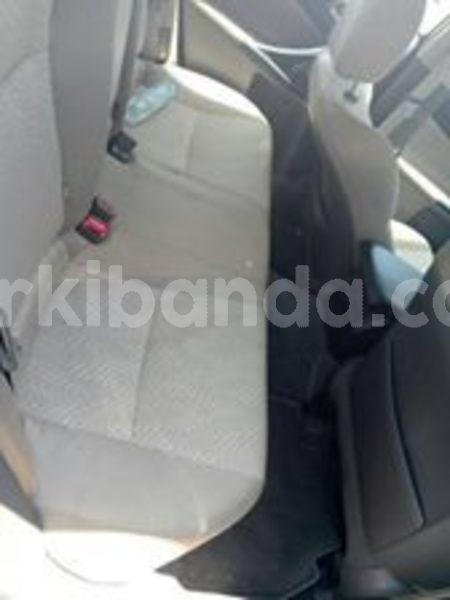 Big with watermark 58800379 115195956349002 4990032874397761536 n