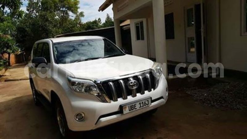 Big with watermark 58691988 115194446349153 8179826912437207040 n