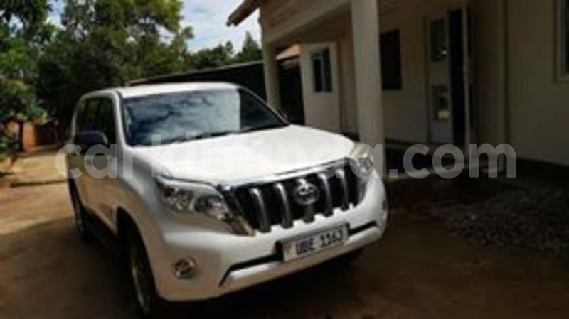 Big with watermark 58809834 115194523015812 1155537753870434304 n