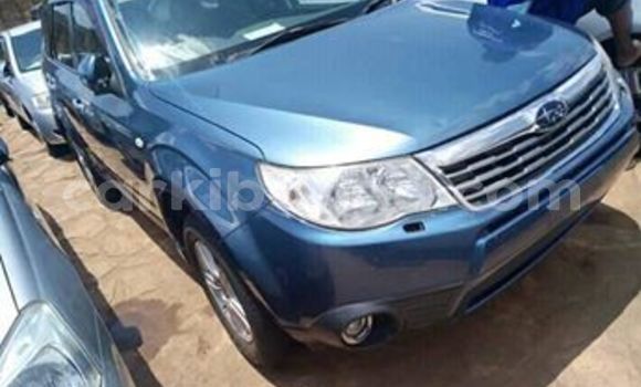 Buy Used Subaru Forester Blue Car in Kampala in Uganda Buy Used Subaru Forester Blue Car in Kampala in Uganda