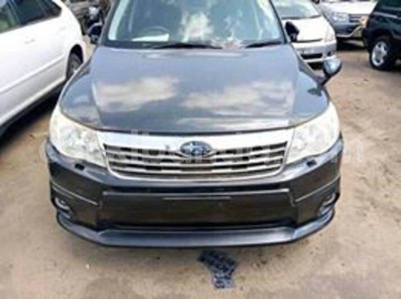 Big with watermark 58372983 113925929809338 6469519039080169472 n