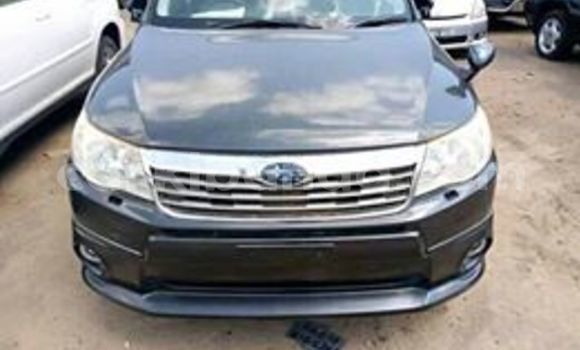 Buy Used Subaru Forester Black Car in Kampala in Uganda Buy Used Subaru Forester Black Car in Kampala in Uganda