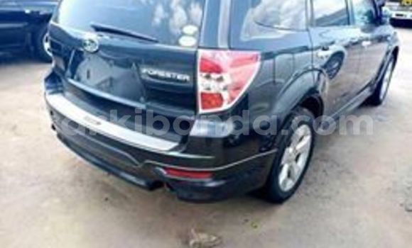 Buy Used Subaru Forester Black Car in Kampala in Uganda Buy Used Subaru Forester Black Car in Kampala in Uganda