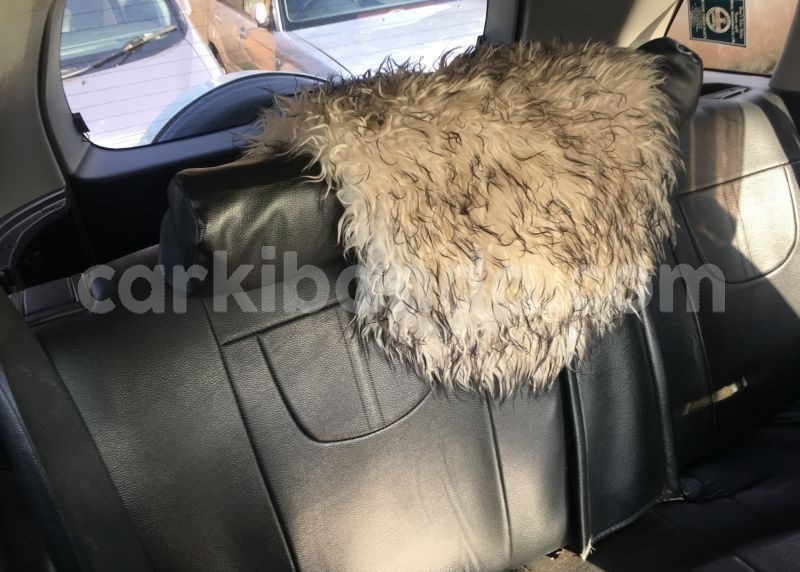 Big with watermark acvb4