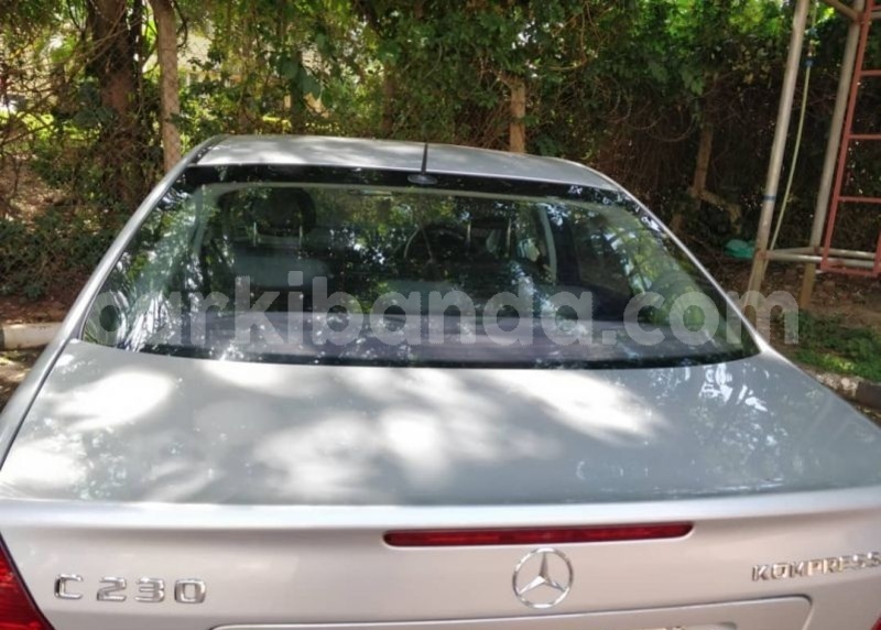 Big with watermark tere6