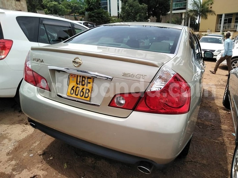 Big with watermark 60923904 1329598917188177 31641071314272256 n