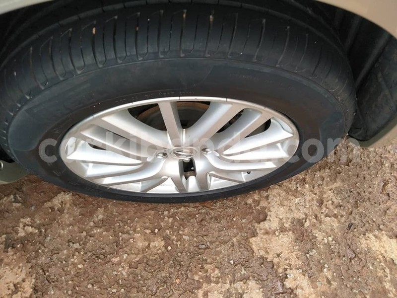 Big with watermark 61136383 1329598810521521 4928949488736796672 n