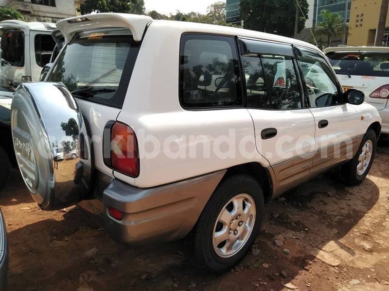 Big with watermark 60932327 1329596507188418 6980017937054695424 n