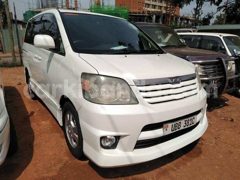 Big with watermark 61341474 1329594693855266 4388147792602726400 n