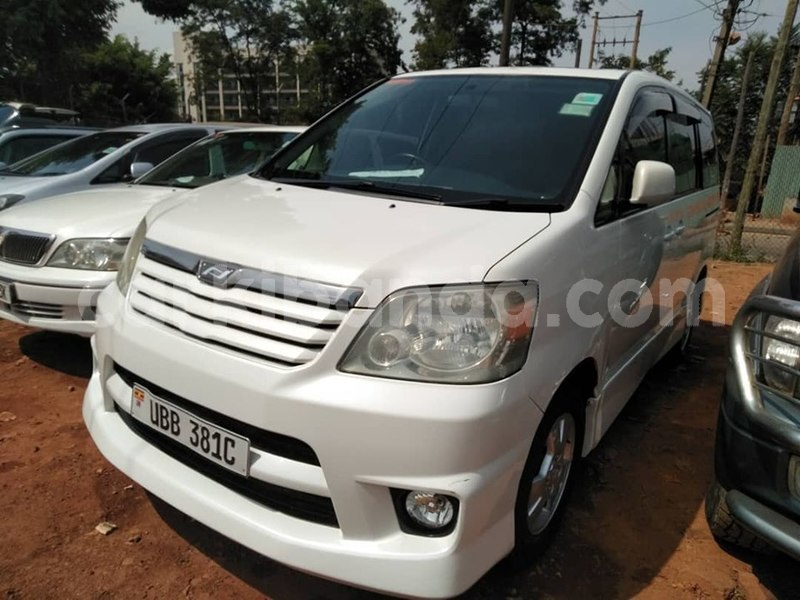 Big with watermark 61083464 1329594643855271 593701086037016576 n