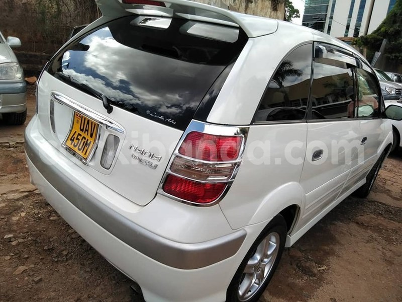 Big with watermark 60837511 1329587647189304 5970466860309676032 n