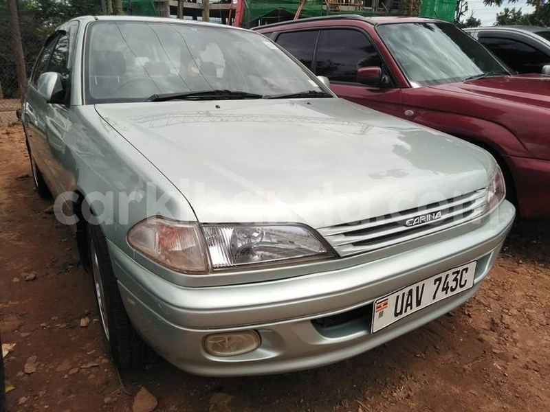 Big with watermark 60870185 1329584300522972 2937053573655035904 n