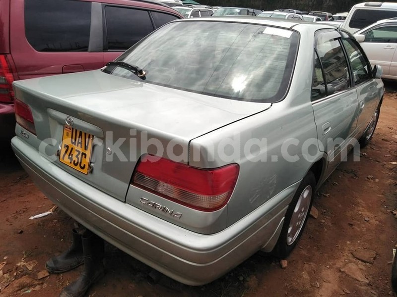 Big with watermark 61254801 1329584097189659 7196939701335359488 n