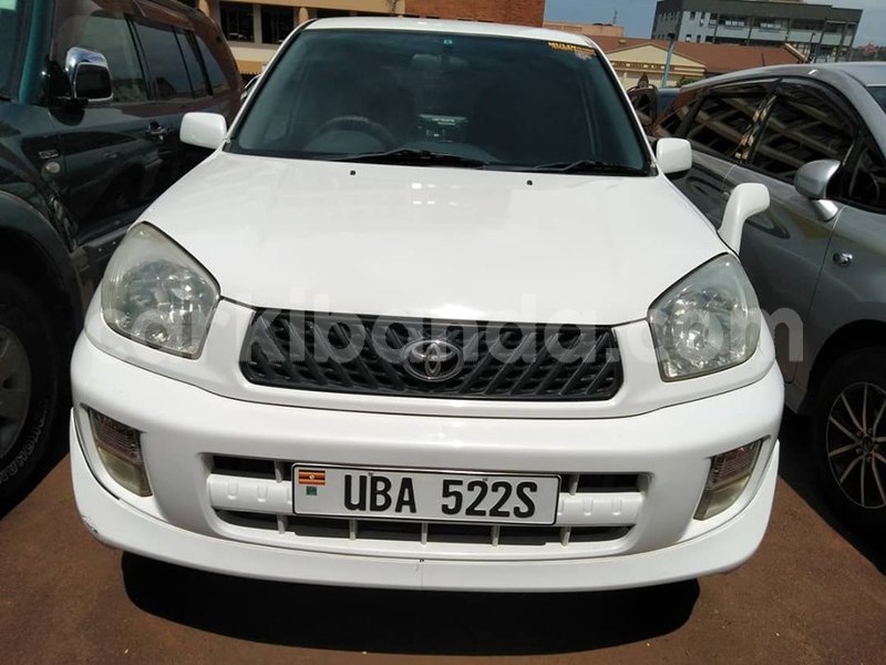 Big with watermark 43497223 1329582647189804 5021163291280408576 n