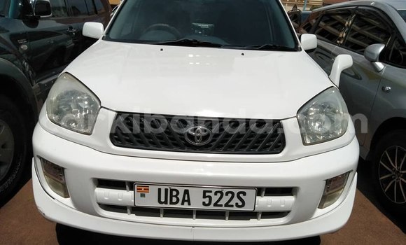 Buy Used Toyota RAV4 White Car in Kampala in Uganda Buy Used Toyota RAV4 White Car in Kampala in Uganda
