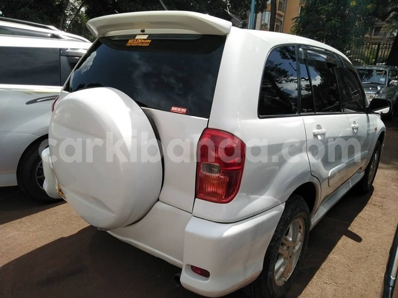 Big with watermark 60861704 1329582823856453 1221597387424792576 n