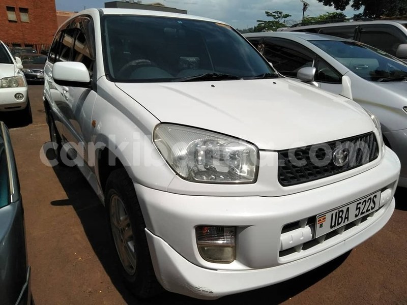 Big with watermark 61249803 1329582750523127 6430673838731689984 n