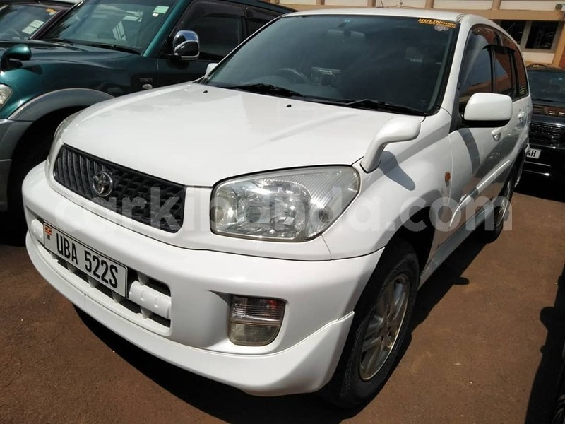 Big with watermark 61003266 1329582683856467 314961548227379200 n