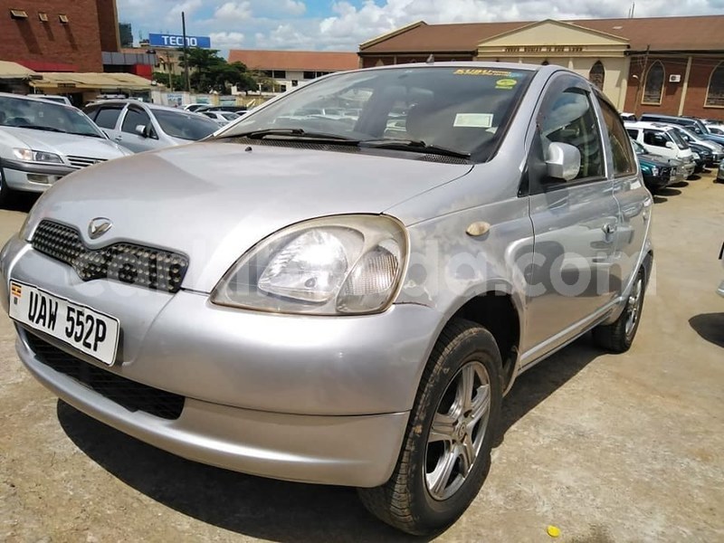 Big with watermark 60889098 1329082847239784 8956459443113951232 n