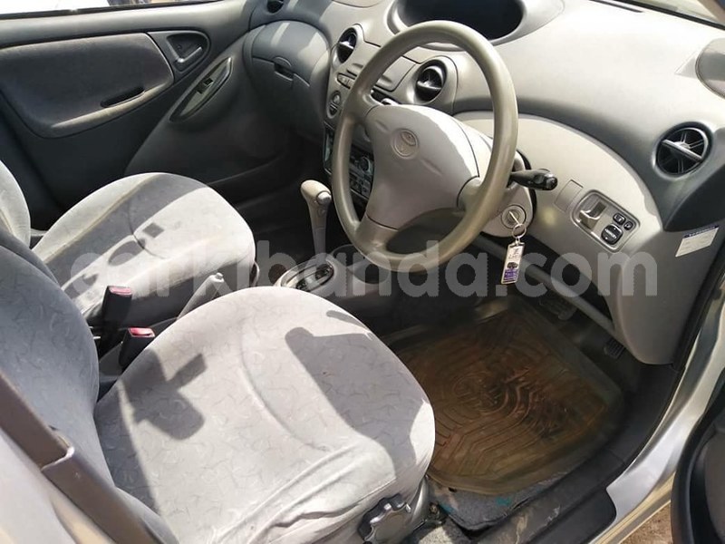 Big with watermark 61276137 1329082793906456 4303367478936862720 n