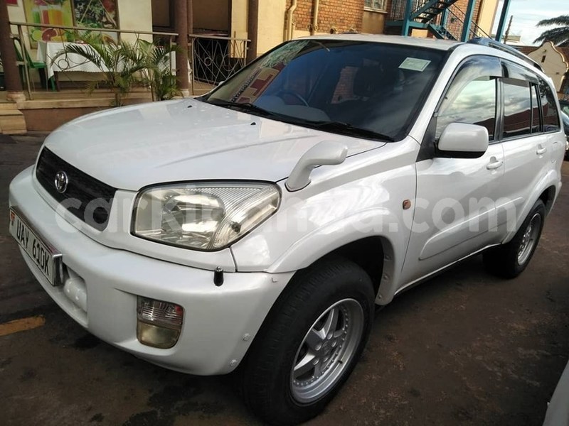 Big with watermark 61353547 1329080717239997 8543262960510828544 n