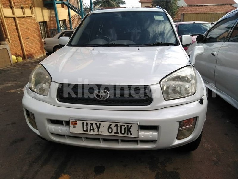 Big with watermark 61142839 1329080683906667 8177535946816749568 n