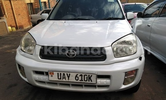Buy Used Toyota RAV4 White Car in Kampala in Uganda Buy Used Toyota RAV4 White Car in Kampala in Uganda