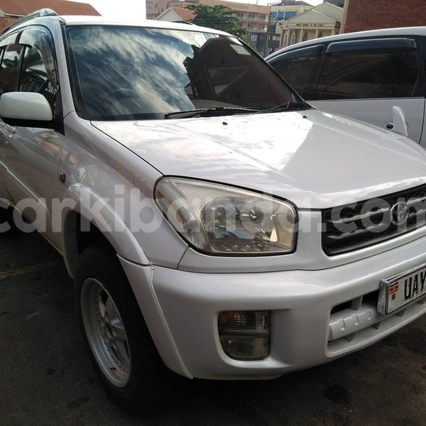 Big with watermark 61162558 1329080643906671 8641164944726818816 n