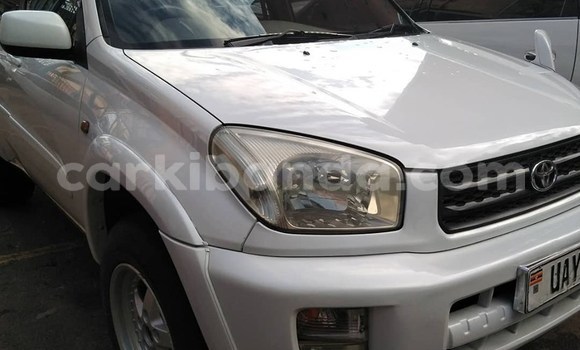 Buy Used Toyota RAV4 White Car in Kampala in Uganda Buy Used Toyota RAV4 White Car in Kampala in Uganda