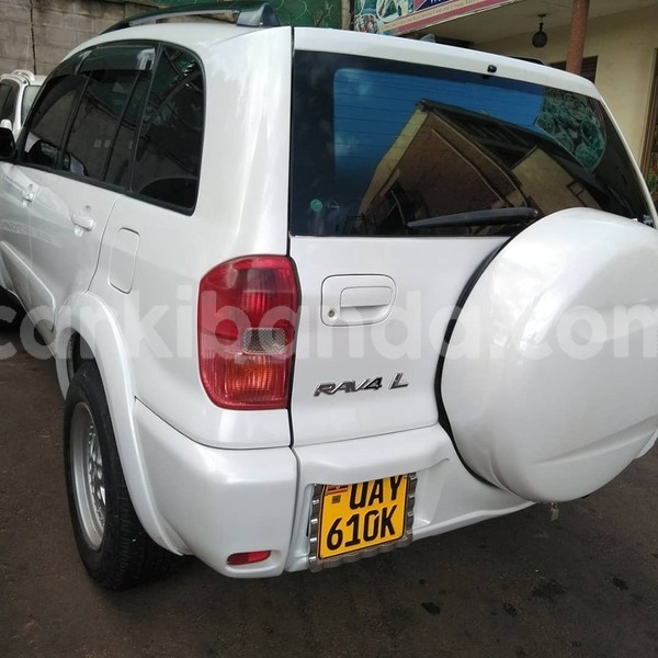 Big with watermark 60942757 1329080477240021 7664058970058784768 n