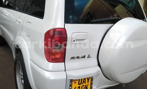 Buy Used Toyota RAV4 White Car in Kampala in Uganda Buy Used Toyota RAV4 White Car in Kampala in Uganda