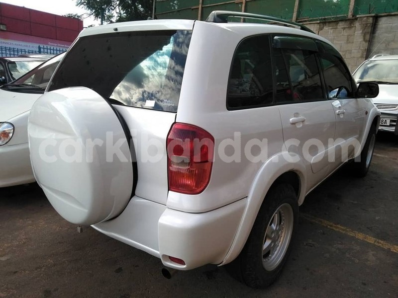 Big with watermark 60917277 1329080447240024 404842595118743552 n