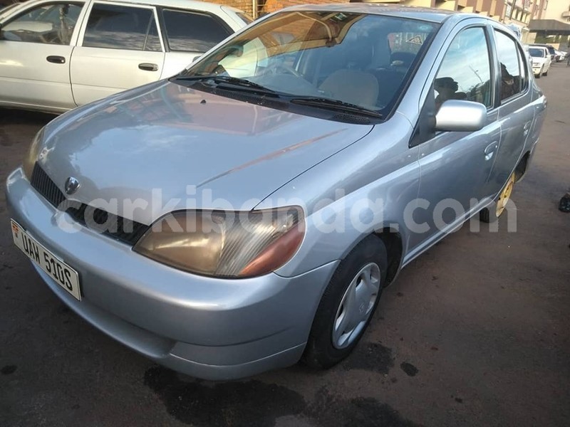 Big with watermark 60938857 1329079790573423 4687284263245053952 n