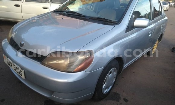Buy Used Toyota Platz Silver Car in Kampala in Uganda Buy Used Toyota Platz Silver Car in Kampala in Uganda
