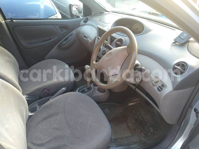 Big with watermark 61064350 1329079760573426 5351956196335026176 n