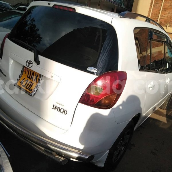 Big with watermark 60938226 1329079527240116 4543395772133015552 n