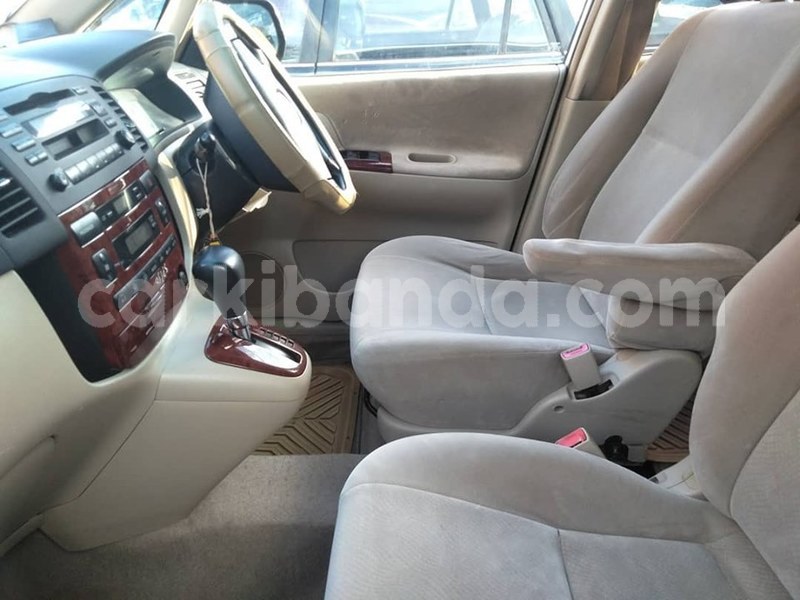 Big with watermark 61442903 1329079457240123 8822196377439174656 n