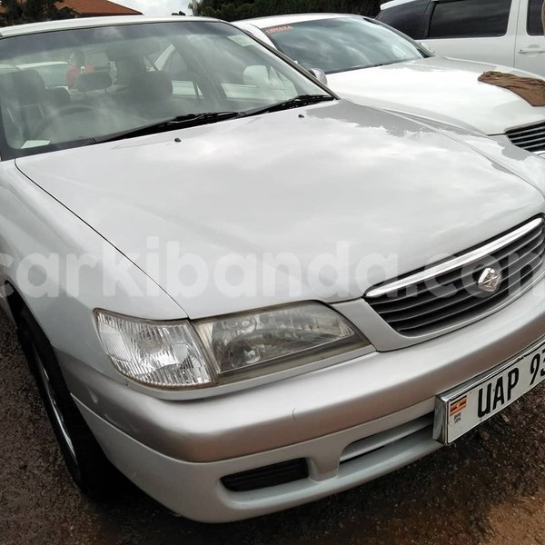 Big with watermark 60775116 1327584004056335 3159481924095836160 n