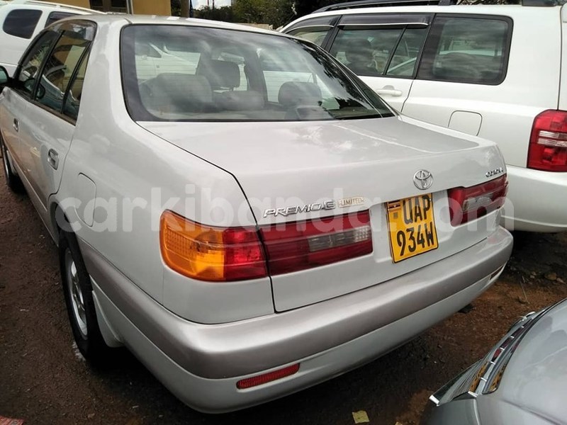 Big with watermark 60689026 1327584064056329 5079080100633247744 n