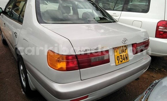 Buy Used Toyota Premio White Car in Kampala in Uganda Buy Used Toyota Premio White Car in Kampala in Uganda