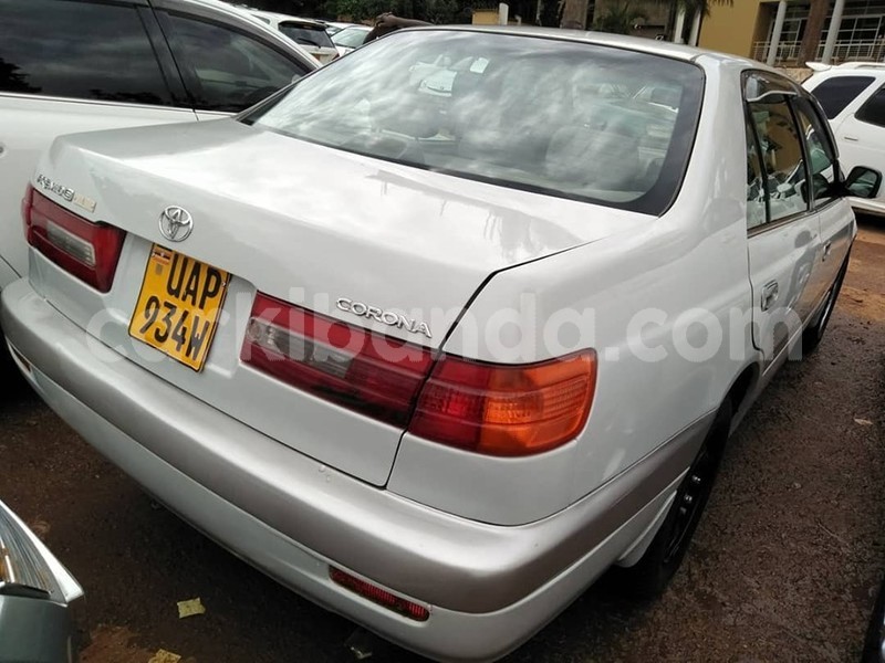 Big with watermark 60842132 1327584114056324 2212957800202502144 n