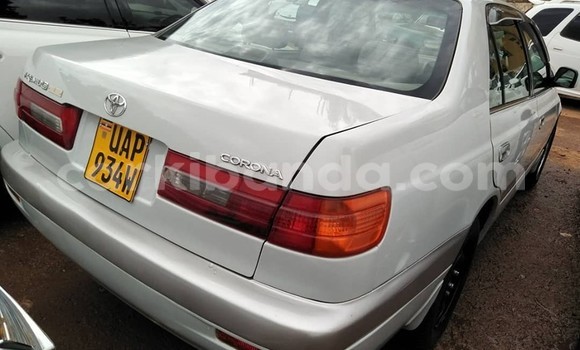Buy Used Toyota Premio White Car in Kampala in Uganda Buy Used Toyota Premio White Car in Kampala in Uganda
