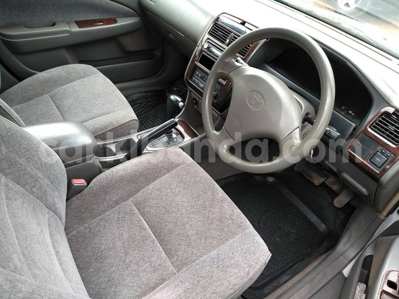 Big with watermark 60809784 1327583954056340 8969544851255197696 n