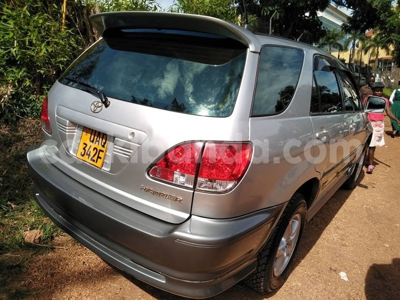 Big with watermark 60806733 1326797834134952 9063215644144566272 n 1