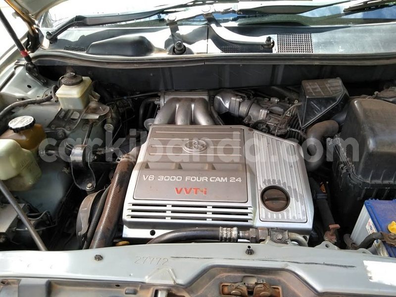 Big with watermark 61049963 1326798090801593 4196176756064911360 n